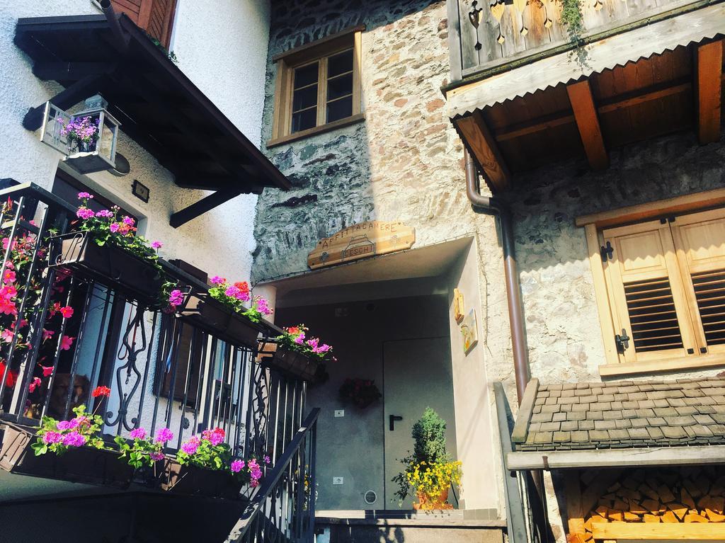 Affittacamere Ceschi Baselga di Pinè Zewnętrze zdjęcie